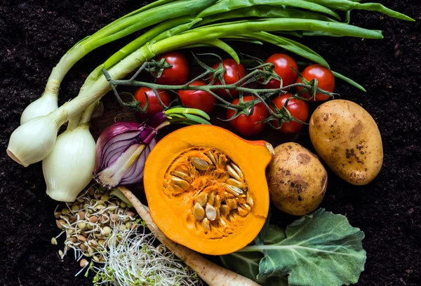 Свіжі овочі органічні — стокове фото