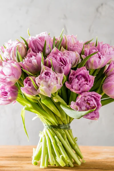 Schöne rosa Tulpen — Stockfoto