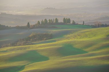 Tuscany güzel manzara