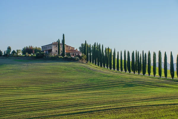 Tuscany güzel manzara — Stok fotoğraf