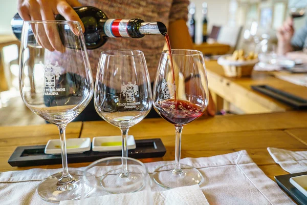 Degustación de vinos en bar —  Fotos de Stock