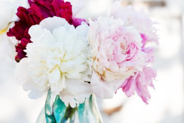 zengin peonies demet