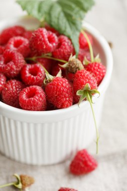 Tabakta taze ahududu