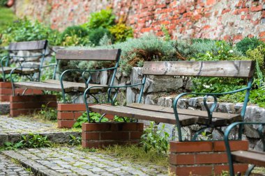 Eski banklar ve bitkiler 