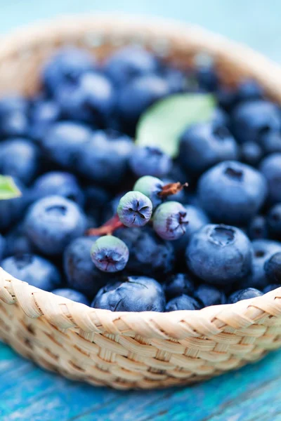 Bleuets frais dans le panier — Photo