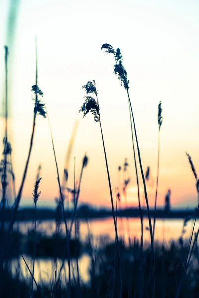 湖の上の美しい夕日 — ストック写真