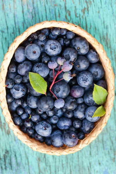 Panier de bleuets frais — Photo