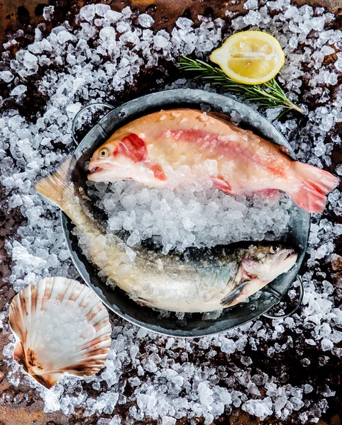 Pescado fresco en hielo — Foto de Stock