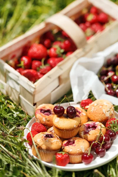 Picnic with cherry muffin — Stock Photo, Image