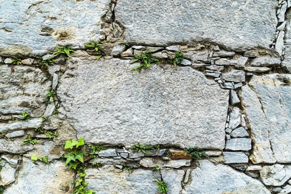 Piedras en un viejo muro — Foto de Stock