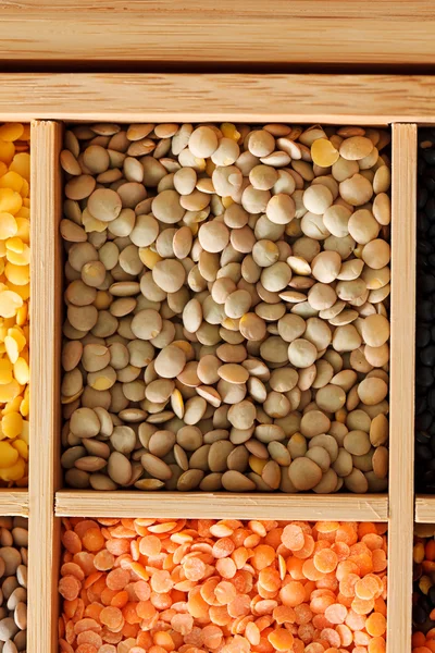 Dried lentils in a box — Stock Photo, Image