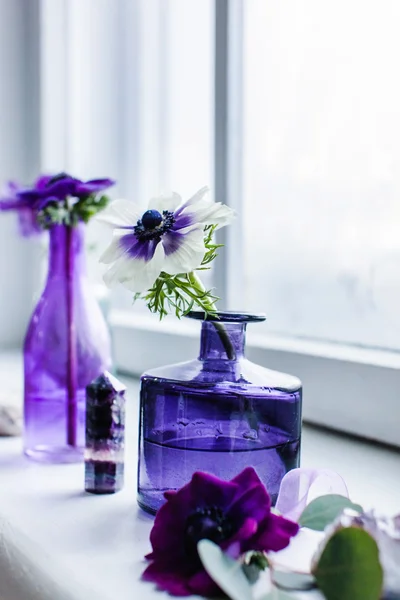 Анемоны в фиолетовых вазах — стоковое фото