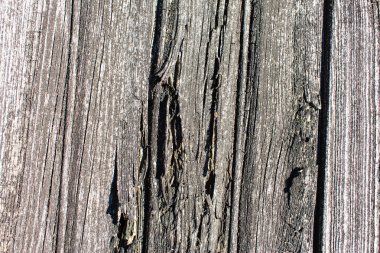 eski tahta arka plan