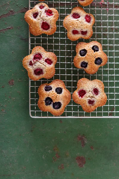 Zoete berry financier — Stockfoto