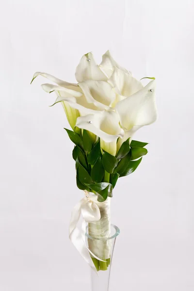 Calla blommor bukett — Stockfoto