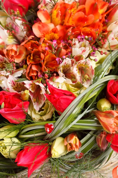 Leuchtende Blüten — Stockfoto