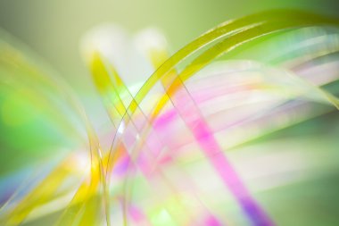 mucize renkli arka plan