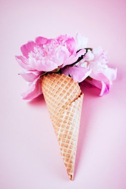 Şakayık çiçekleri gözleme koni