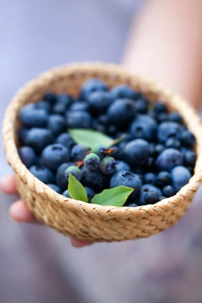 Bleuets frais dans le panier — Photo