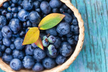 sepet içinde taze yaban mersini