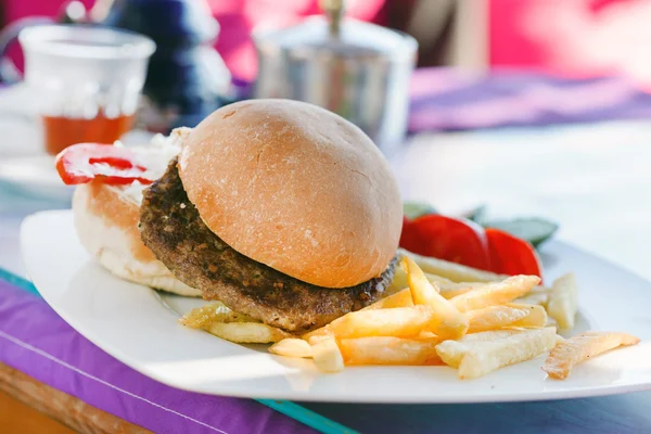 Patates kızartmalı hamburger. — Stok fotoğraf