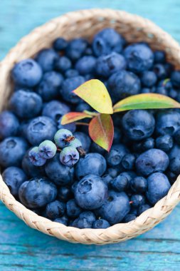 sepet içinde taze yaban mersini