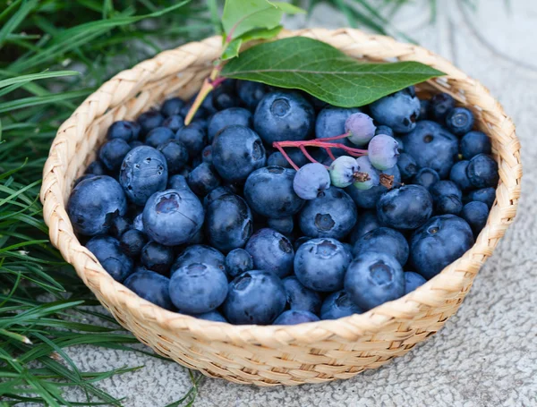 Fresh blueberries in basket — Stock Photo, Image