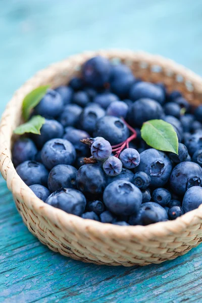 Fresh blueberries in basket — Stock Photo, Image
