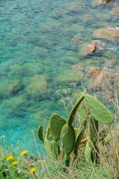 Hermosa playa marina — Foto de Stock