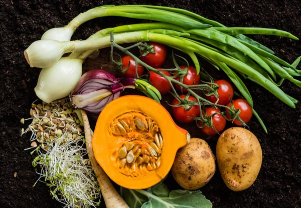 Verduras orgánicas frescas — Foto de Stock