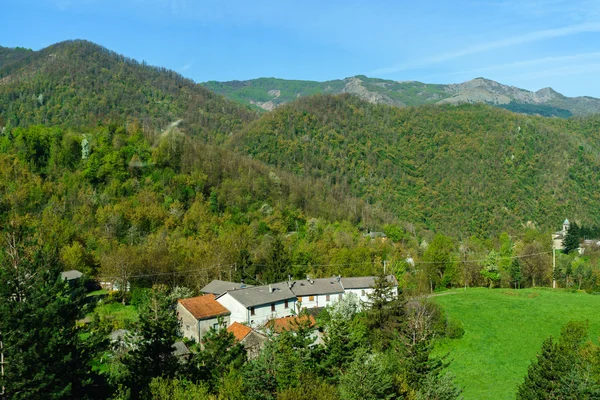 Bosque de montaña verde — Foto de Stock