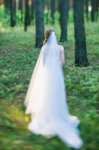 Mooie bruid in een mooie jurk — Stockfoto