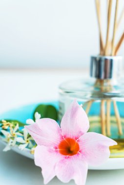 Spa aroma kavramı
