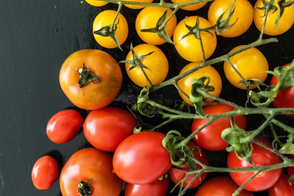 Ripe colorful tomatoes — Stock Photo, Image