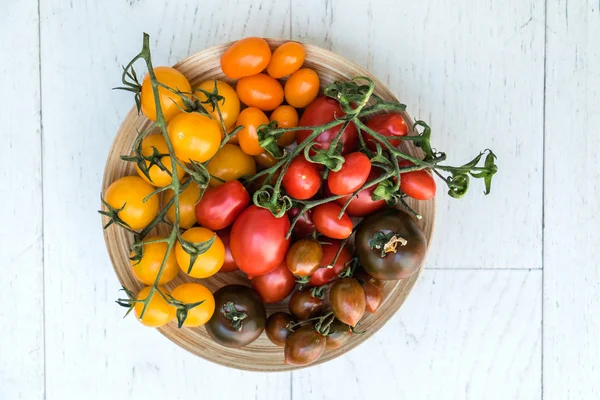 Ripe colorful tomatoes — Stock Photo, Image