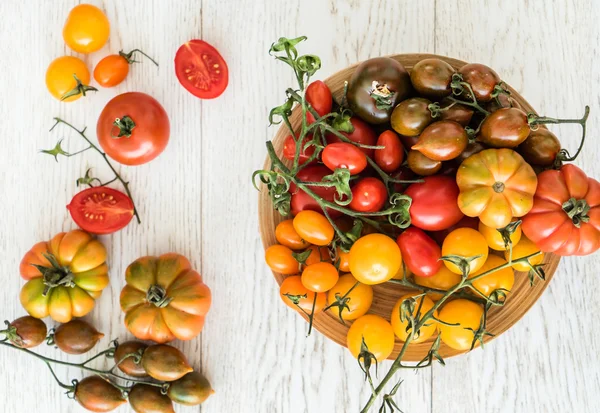 Tomates maduros coloridos — Fotografia de Stock