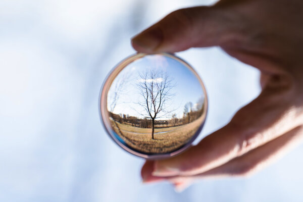 Природа в хрустальном шаре
 