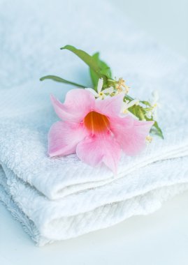 Aromaterapi spa konsept