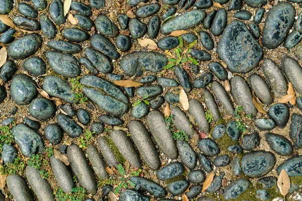 Soyut doğal doku — Stok fotoğraf