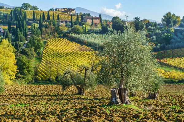 Prachtige landschap van Toscane — Stockfoto