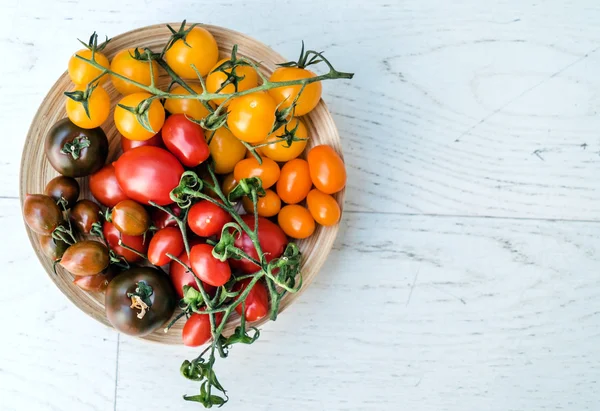 Tomates coloridos frescos — Fotografia de Stock