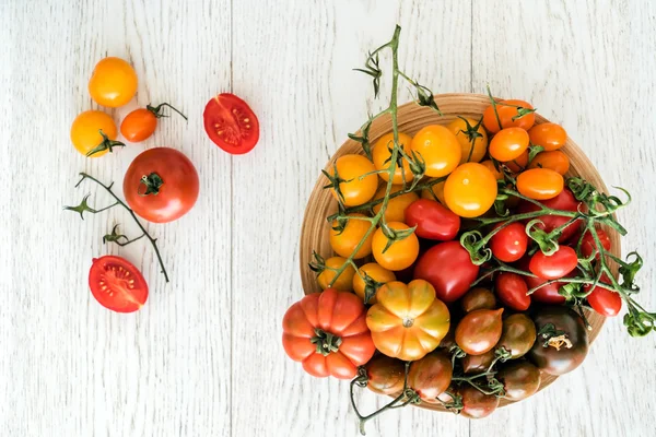 Fresh colorful tomatoes — Stock Photo, Image