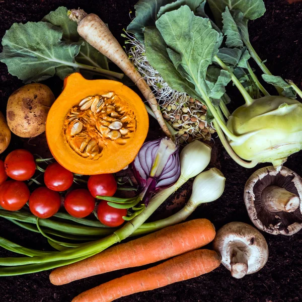 Produtos hortícolas biológicos frescos — Fotografia de Stock