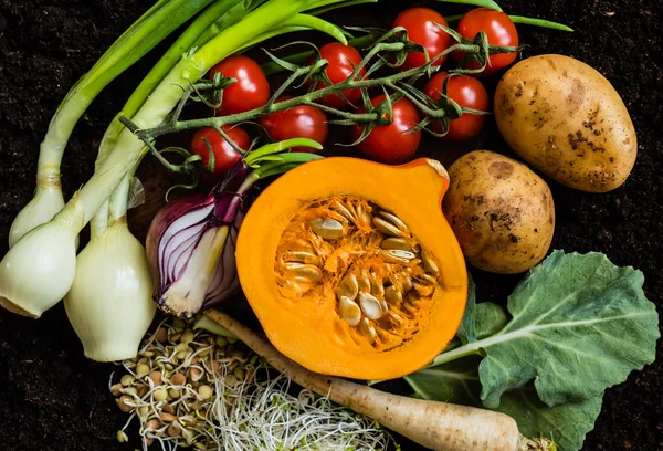 Produtos hortícolas biológicos frescos — Fotografia de Stock