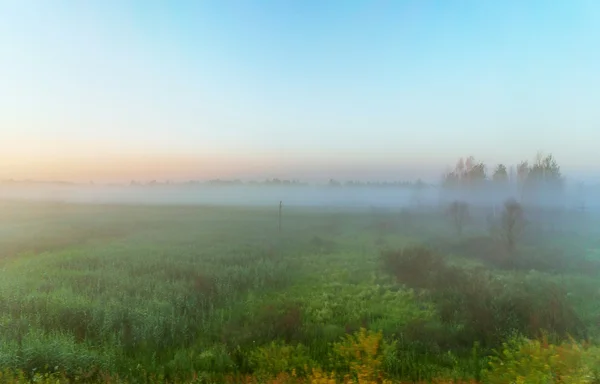 Pré dans le brouillard paysage — Photo