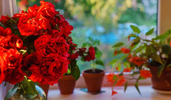 Rosas rojas en el jarrón — Foto de Stock