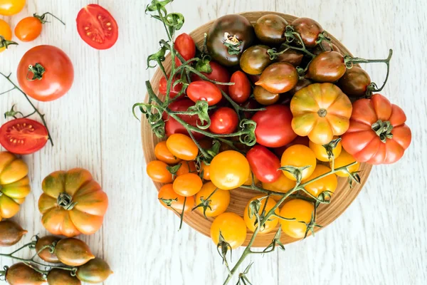 Colorful tomatoes in bowl — Stock Photo, Image