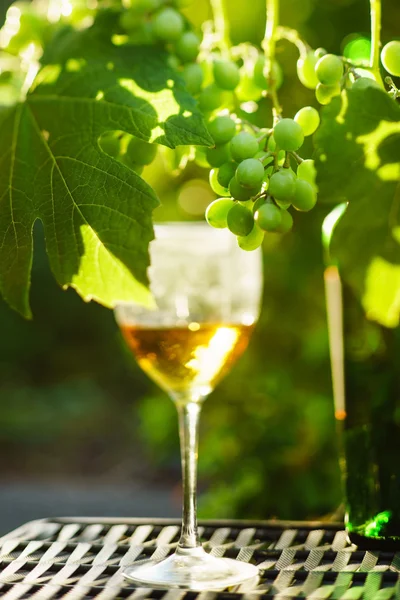 Wine in glass with grapes — Stock Photo, Image