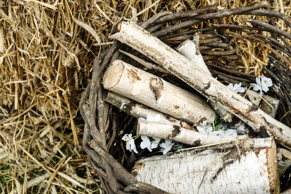 Berken hout in de mand — Stockfoto