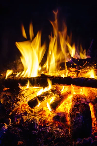 Fuego ardiente en la noche —  Fotos de Stock